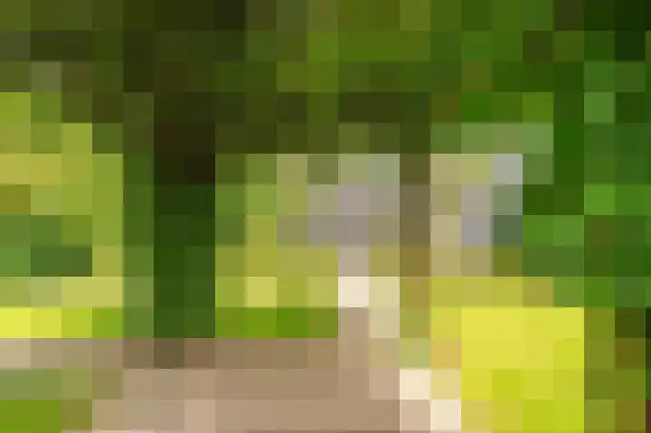 Liefhovendijk 47 Linschoten thumbnail 47