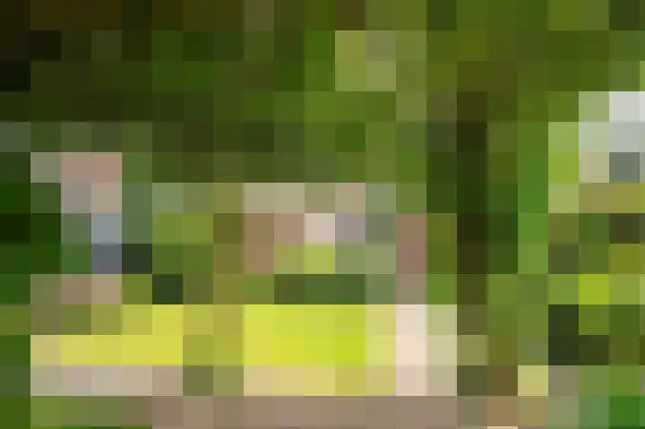 Liefhovendijk 47 Linschoten thumbnail 48