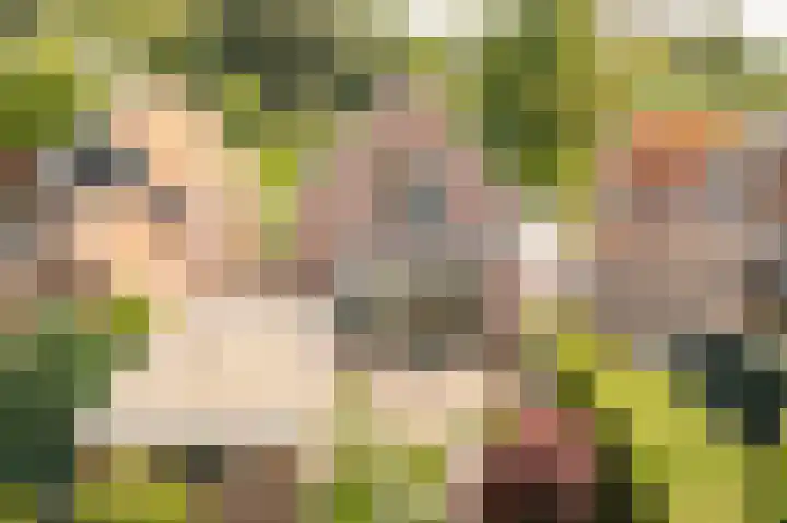 Liefhovendijk 47 Linschoten thumbnail 49