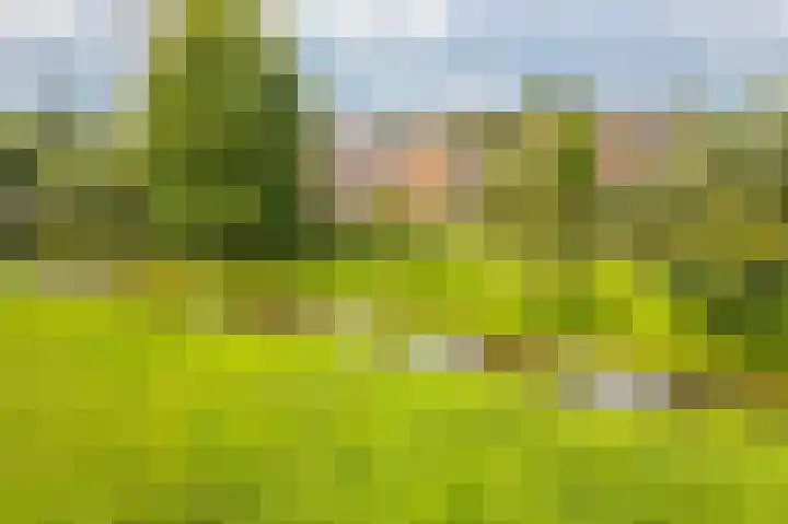Liefhovendijk 47 Linschoten thumbnail 5