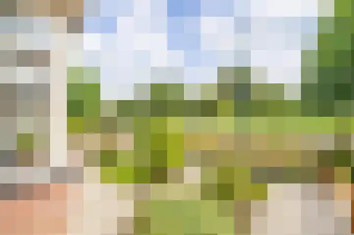 Liefhovendijk 47 Linschoten thumbnail 52