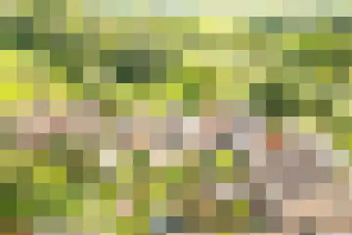 Liefhovendijk 47 Linschoten thumbnail 53