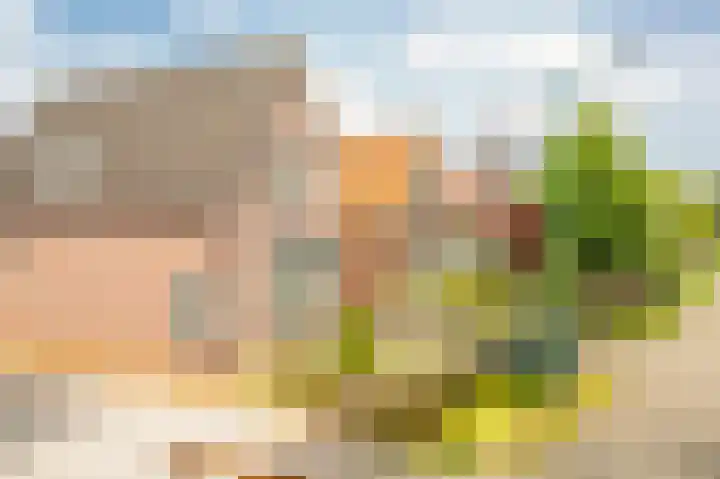 Liefhovendijk 47 Linschoten thumbnail 54