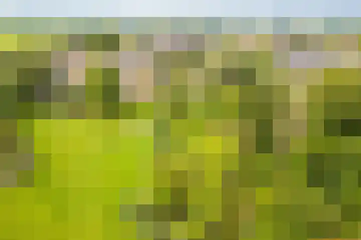 Liefhovendijk 47 Linschoten thumbnail 58