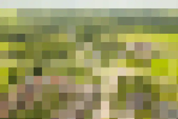 Liefhovendijk 47 Linschoten thumbnail 59