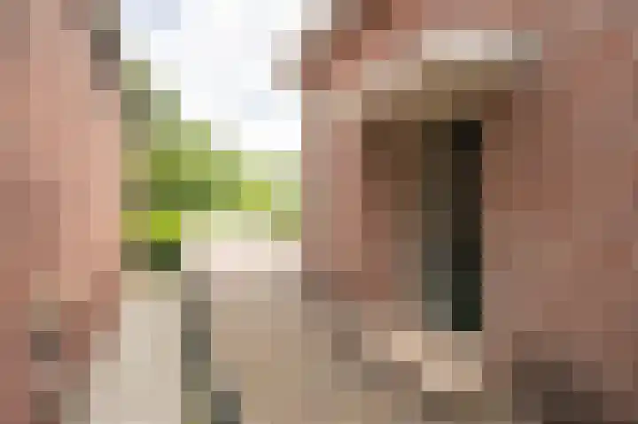 Liefhovendijk 47 Linschoten thumbnail 6