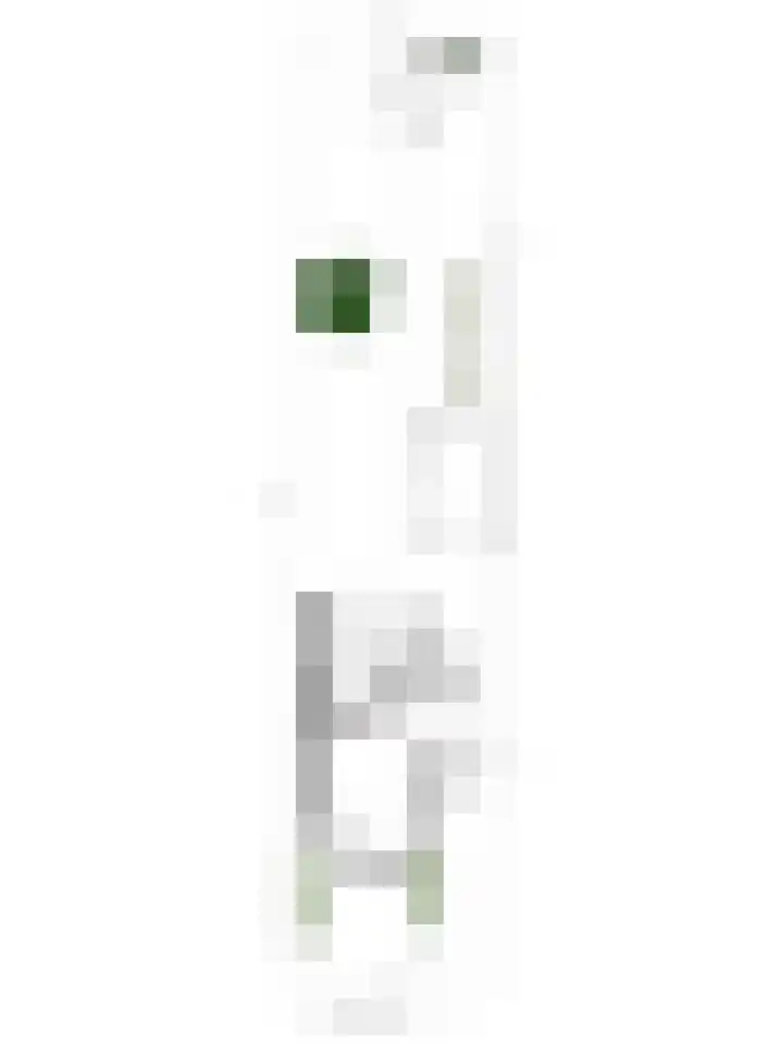 Liefhovendijk 47 Linschoten thumbnail 63