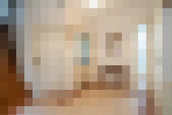 Liefhovendijk 47 Linschoten thumbnail 7