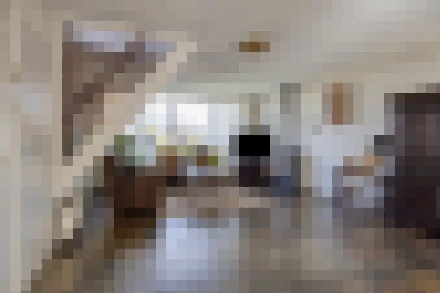 Liefkenshoek 14 Riel thumbnail 13