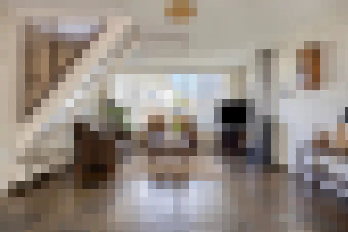 Liefkenshoek 14 Riel thumbnail 14