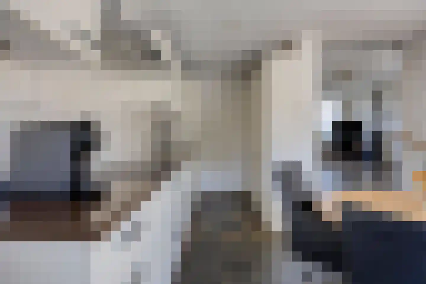 Liefkenshoek 14 Riel thumbnail 27