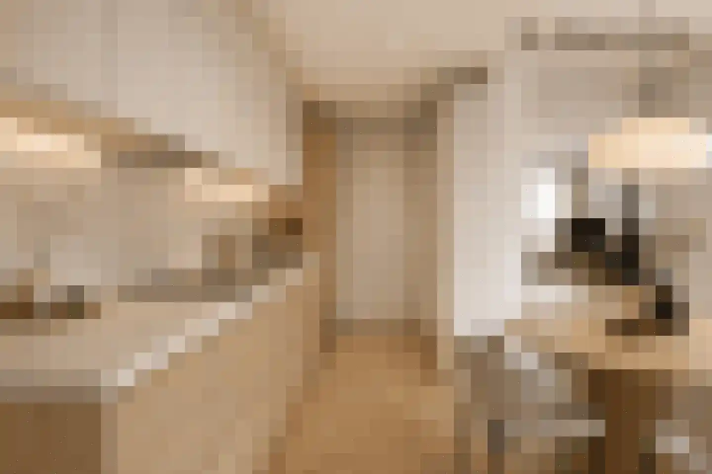 Liefkenshoek 14 Riel thumbnail 29