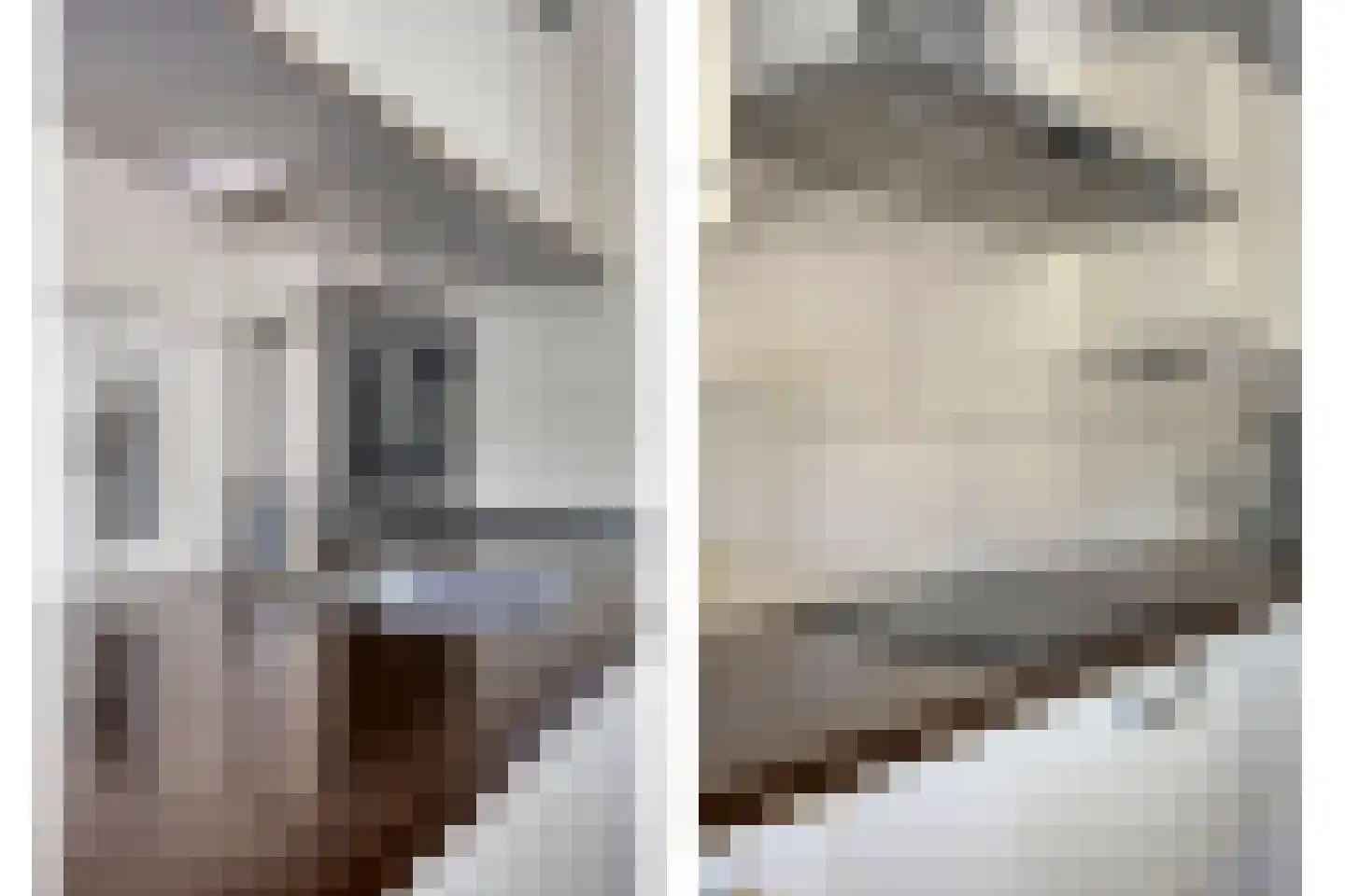 Liefkenshoek 14 Riel thumbnail 29