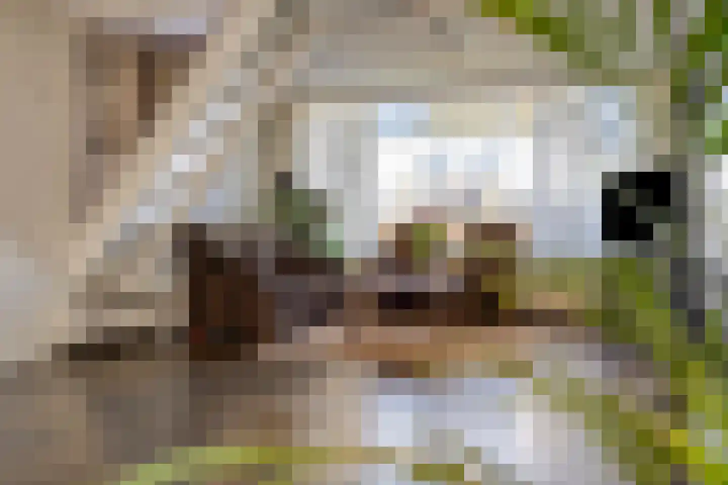 Liefkenshoek 14 Riel thumbnail 4