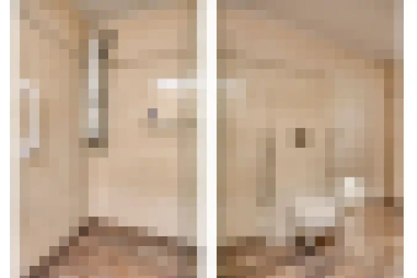 Liefkenshoek 14 Riel thumbnail 40