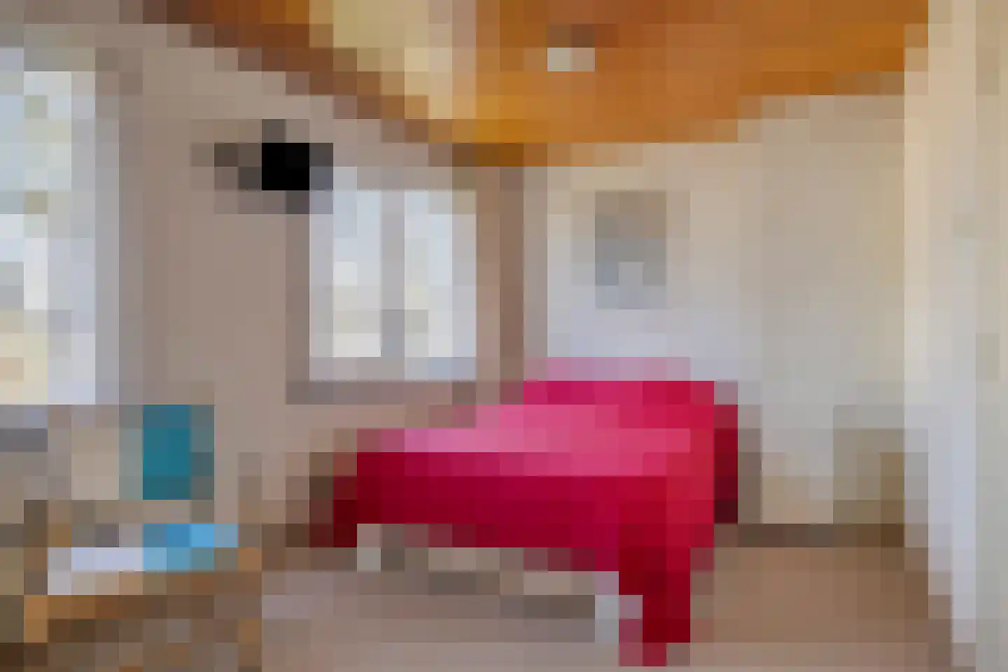 Liefkenshoek 14 Riel thumbnail 42