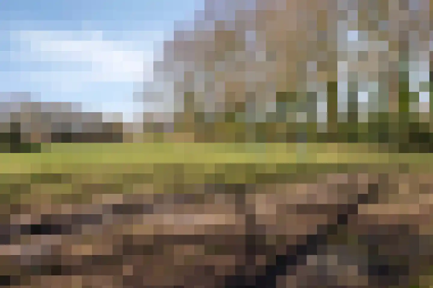 Liefkenshoek 14 Riel thumbnail 60