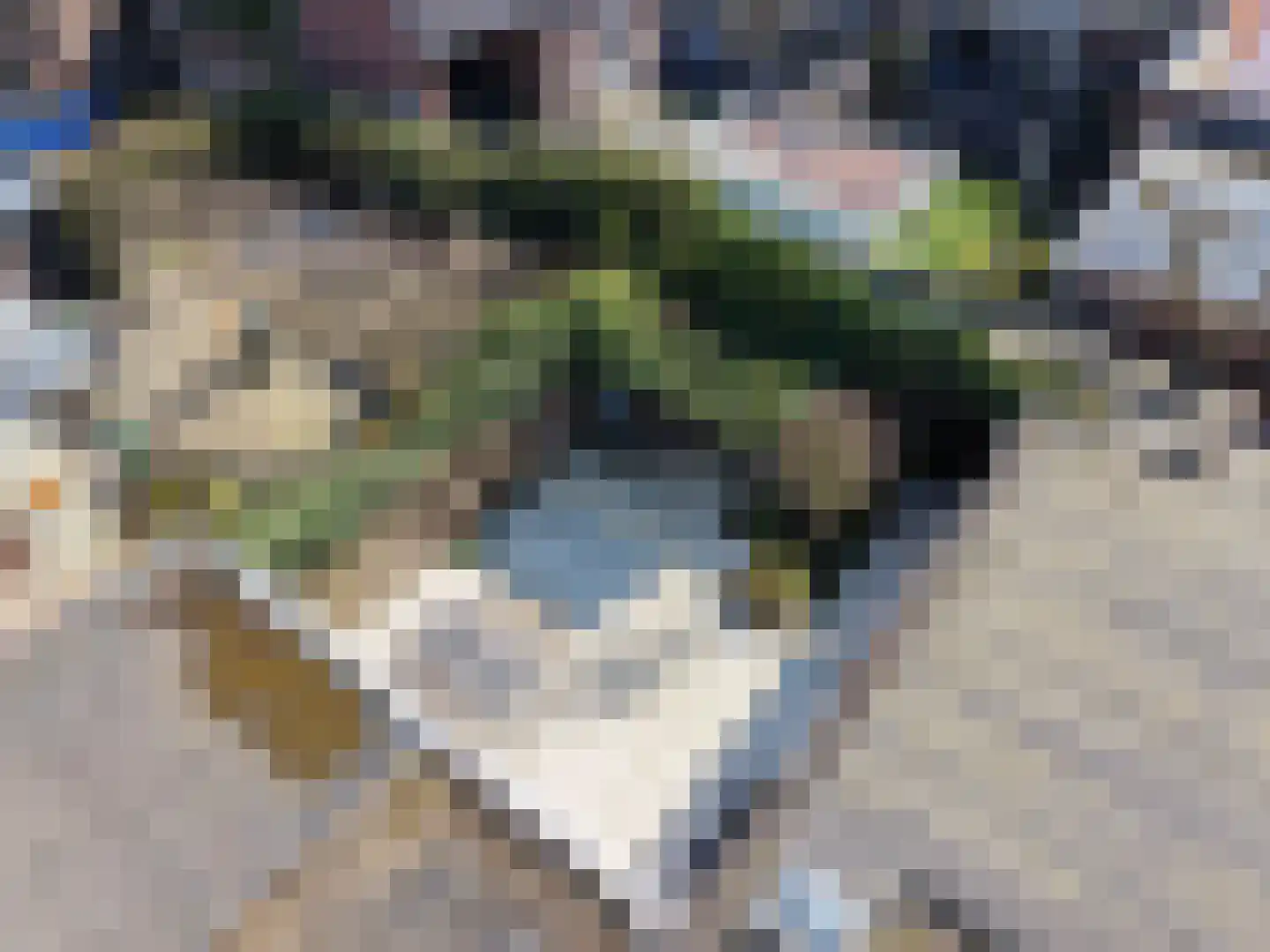 Liefkenshoek 14 Riel thumbnail 61