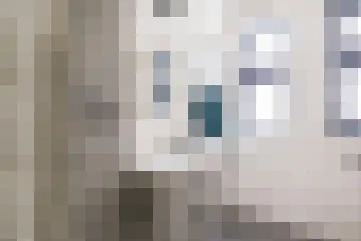 Liefkenshoek 21 Veenendaal thumbnail 21