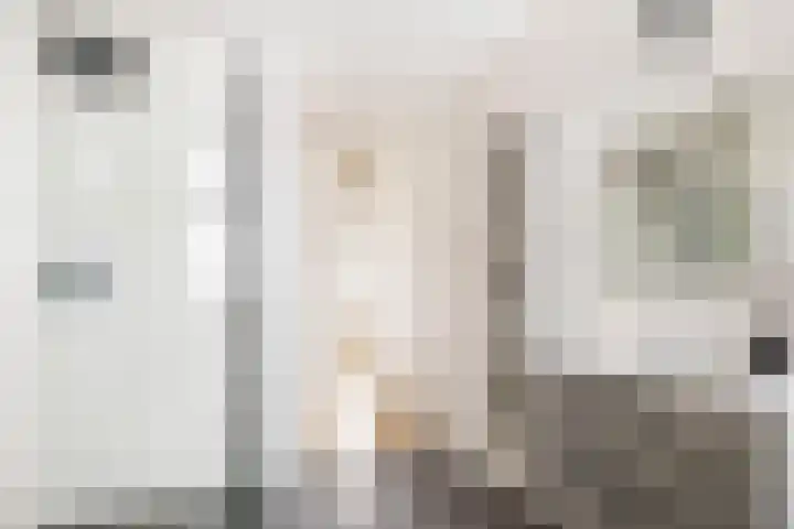 Liefkenshoek 21 Veenendaal thumbnail 22