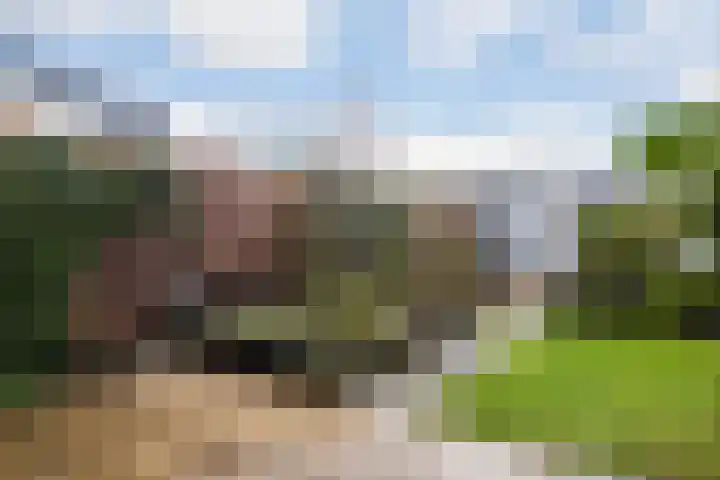 Liefkenshoek 21 Veenendaal thumbnail 29