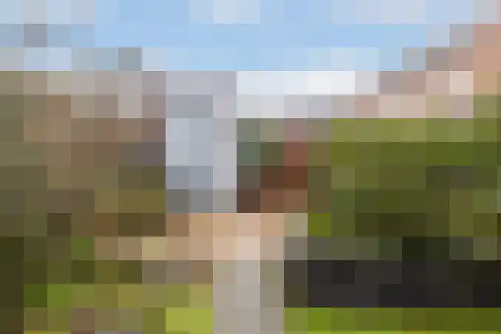 Liefkenshoek 21 Veenendaal thumbnail 30