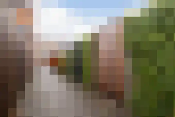 Liefkenshoek 21 Veenendaal thumbnail 32