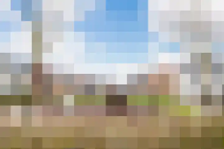 Liefkenshoek 21 Veenendaal thumbnail 38