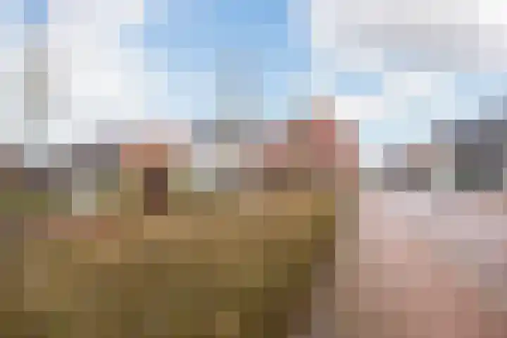 Liefkenshoek 21 Veenendaal thumbnail 39