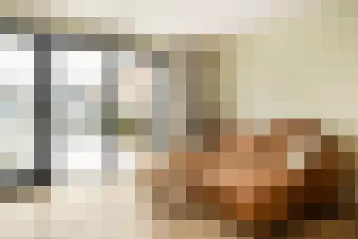Liefkenshoek 21 Veenendaal thumbnail 4