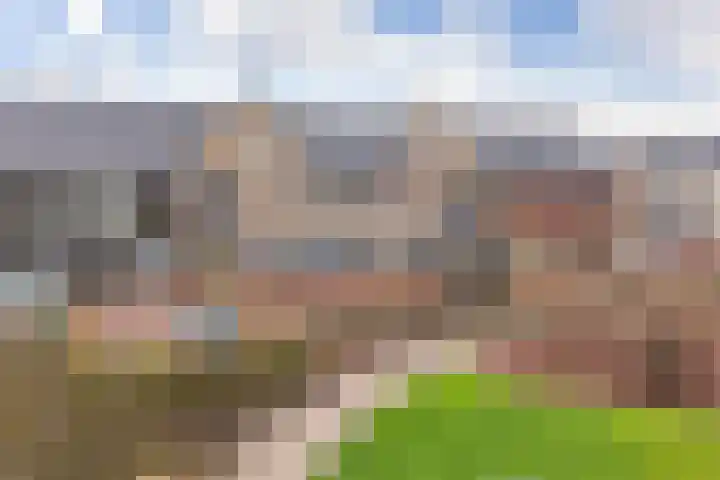 Liefkenshoek 21 Veenendaal thumbnail 40