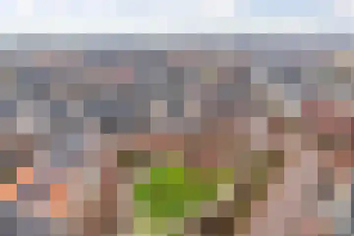 Liefkenshoek 21 Veenendaal thumbnail 42