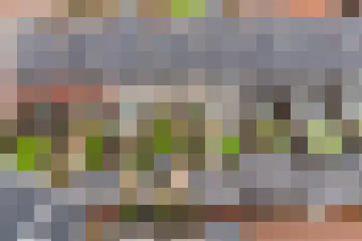 Liefkenshoek 21 Veenendaal thumbnail 43