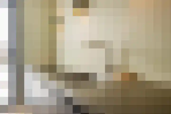 Liefkenshoek 21 Veenendaal thumbnail 8