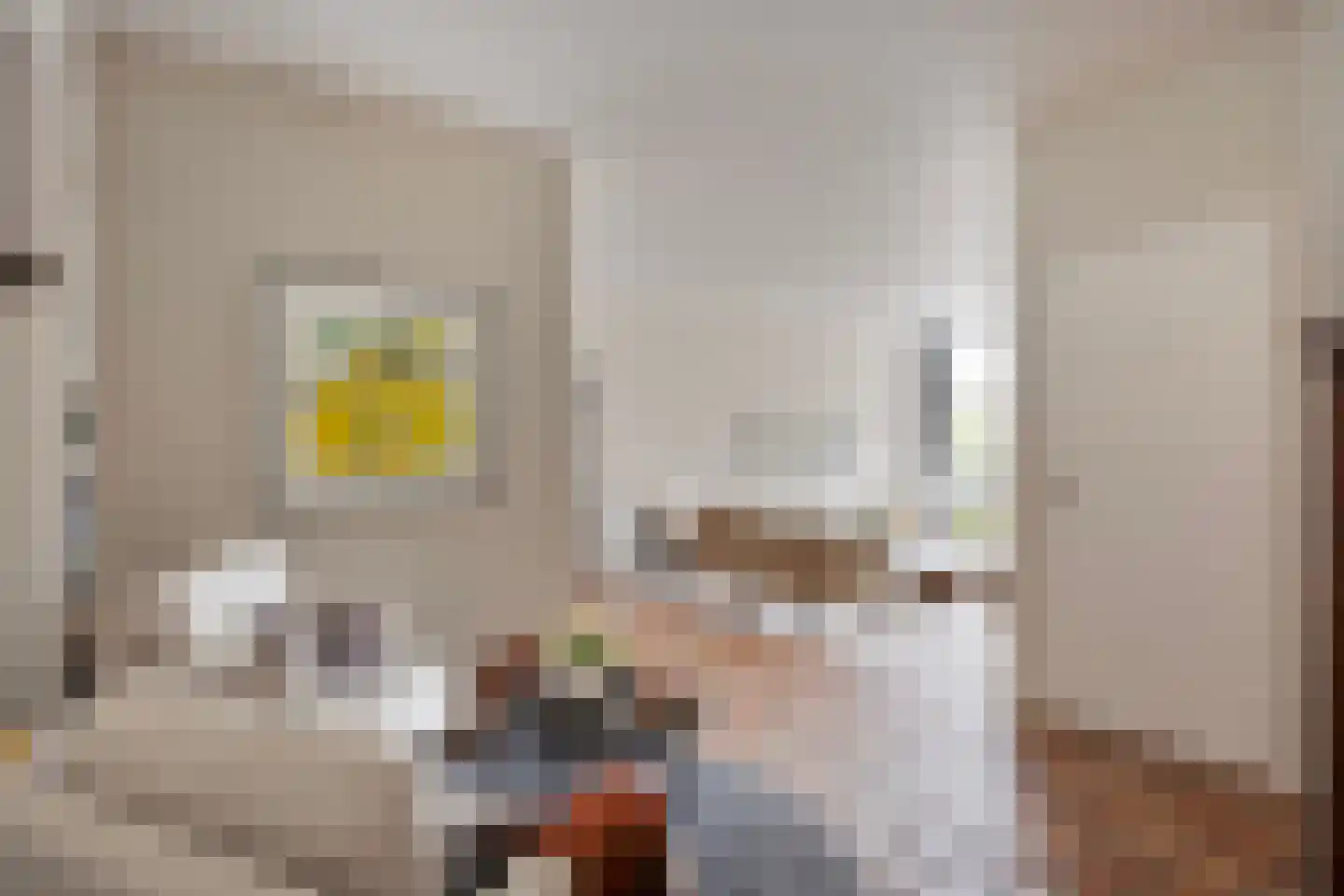 Liefkenshoek 24 Riel thumbnail 17