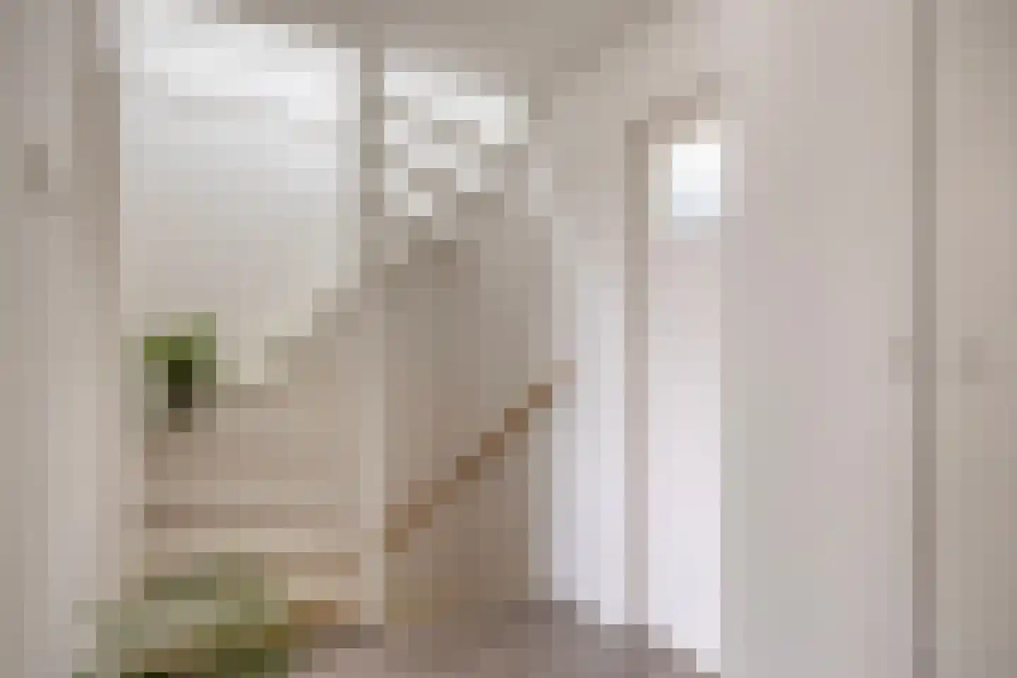Liefkenshoek 24 Riel thumbnail 25