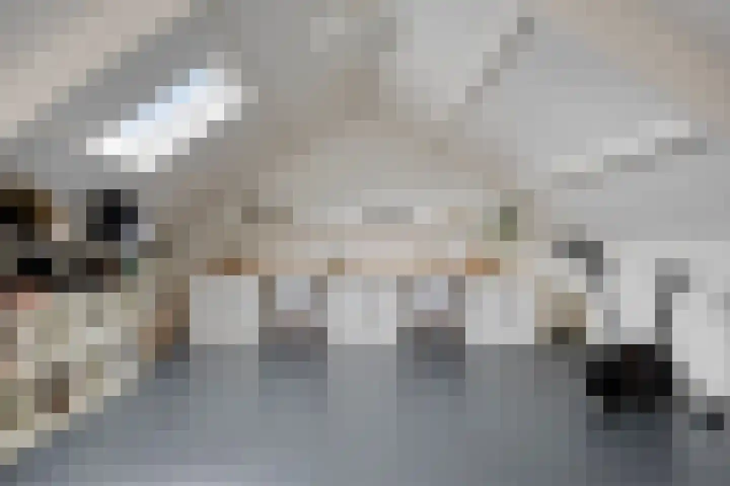 Liefkenshoek 24 Riel thumbnail 37