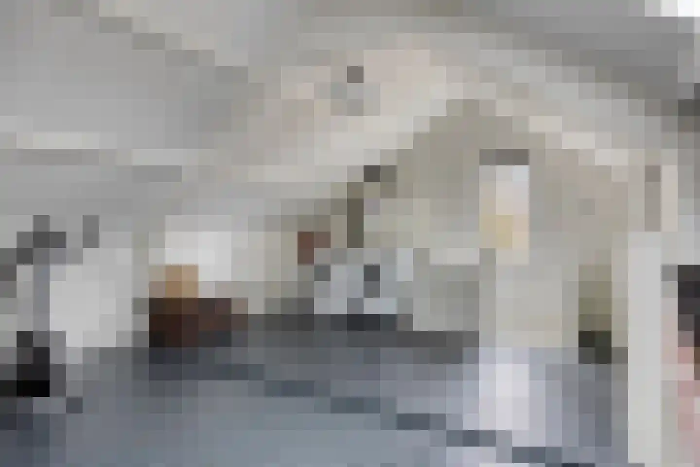 Liefkenshoek 24 Riel thumbnail 38
