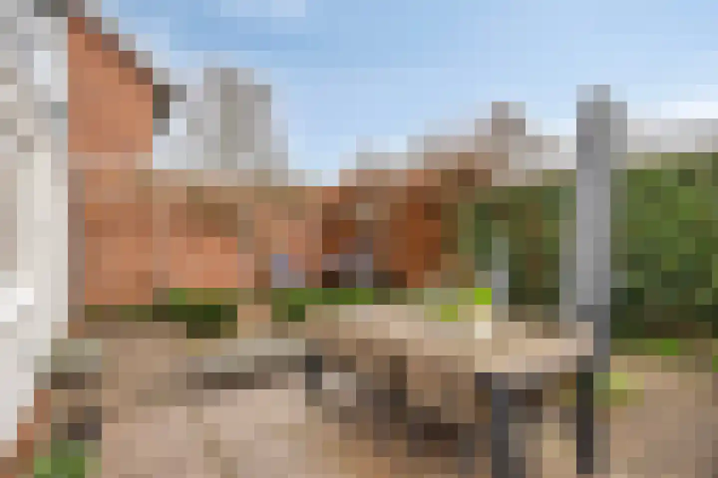 Liefkenshoek 24 Riel thumbnail 41