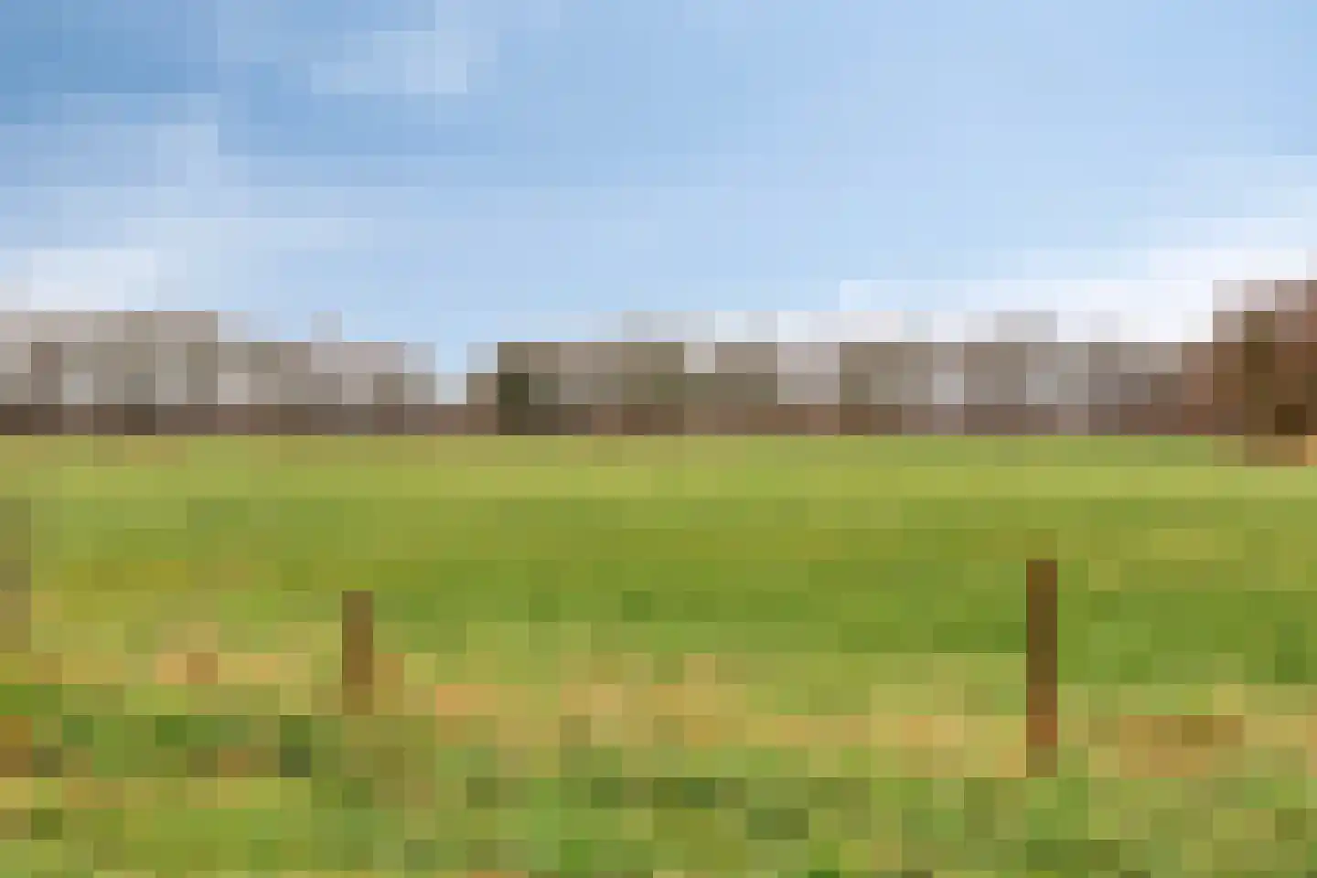 Liefkenshoek 24 Riel thumbnail 44