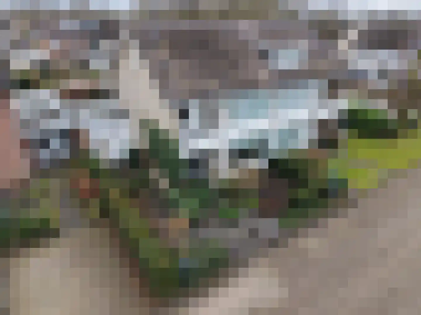 Liefkenshoek 24 Riel thumbnail 46