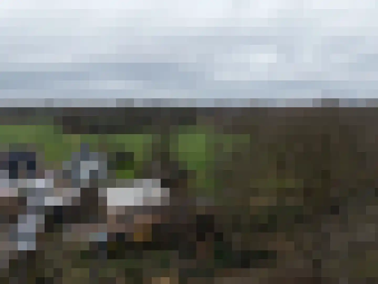 Liefkenshoek 24 Riel thumbnail 49