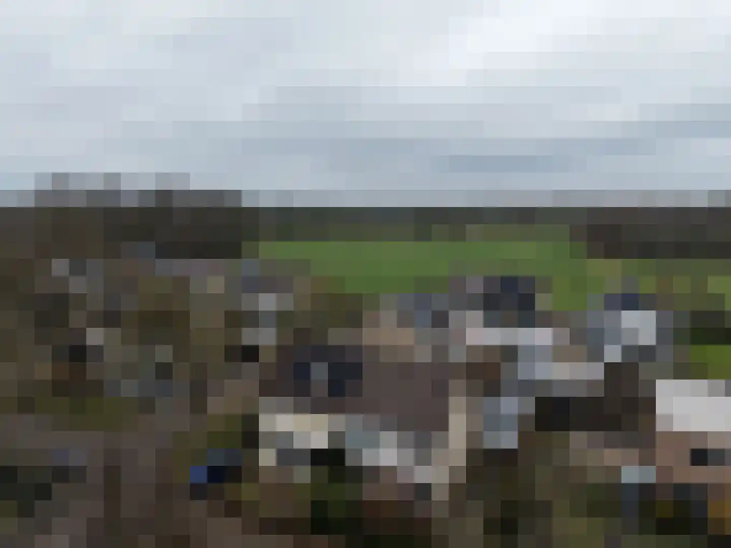 Liefkenshoek 24 Riel thumbnail 50