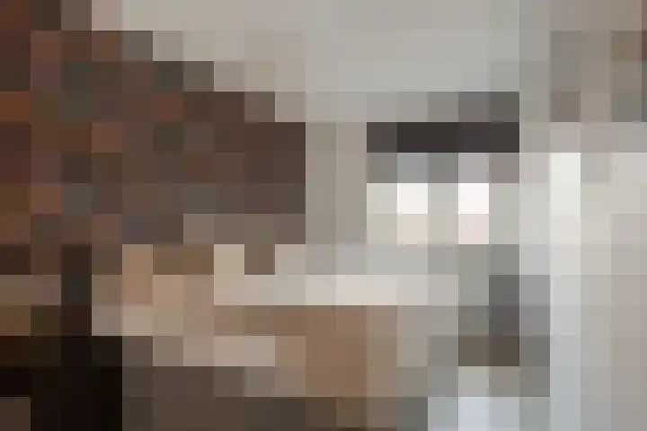 Liefkenshoek 25 Veenendaal thumbnail 11