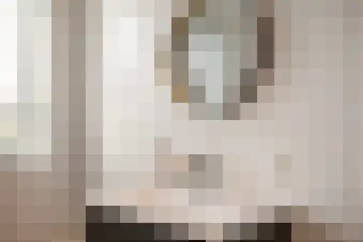Liefkenshoek 25 Veenendaal thumbnail 17