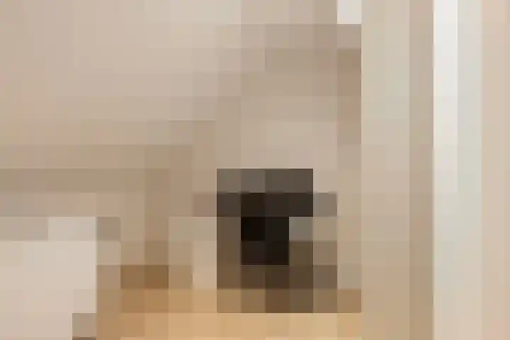 Liefkenshoek 25 Veenendaal thumbnail 20