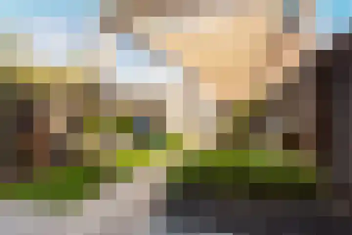 Liefkenshoek 25 Veenendaal thumbnail 22