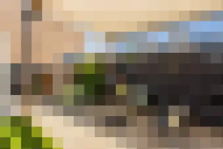 Liefkenshoek 25 Veenendaal thumbnail 23