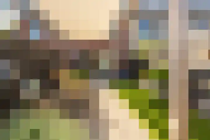 Liefkenshoek 25 Veenendaal thumbnail 24