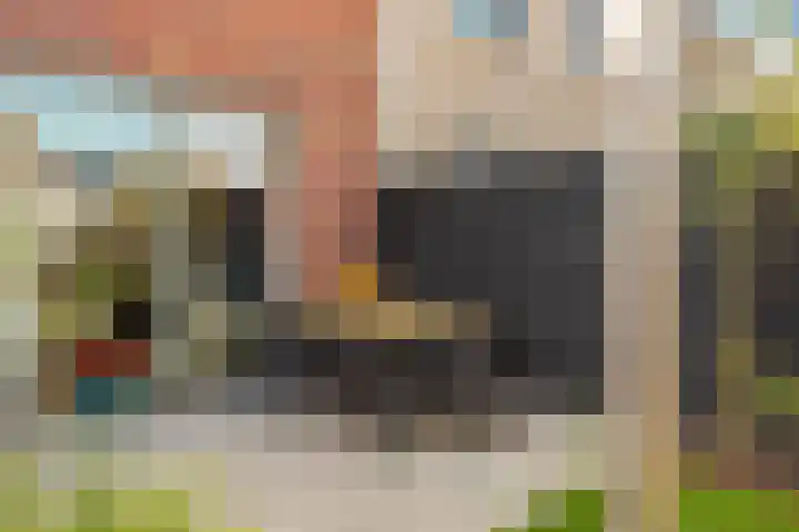 Liefkenshoek 25 Veenendaal thumbnail 25